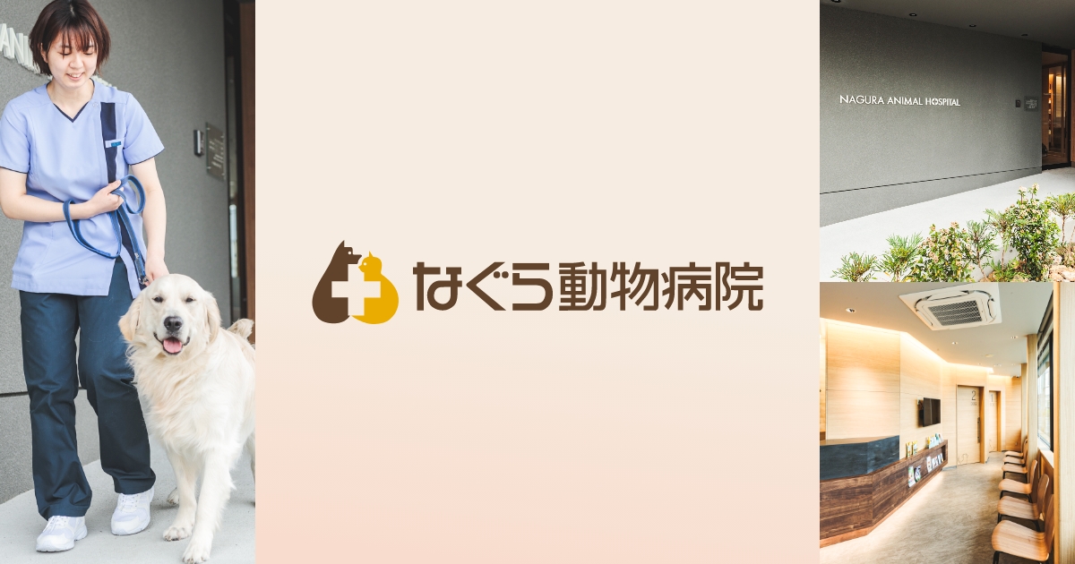 猫の診療の写真(愛知県東郷町)